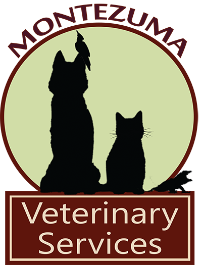 Welcome to Montezuma Veterinary Services!